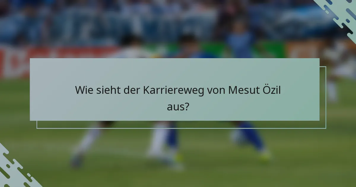 Wie sieht der Karriereweg von Mesut Özil aus?